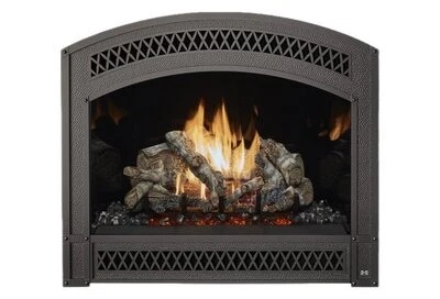 Arched hammered-iron face on a Fireplace Xtrordinair 864 TV 40K gas fireplace.